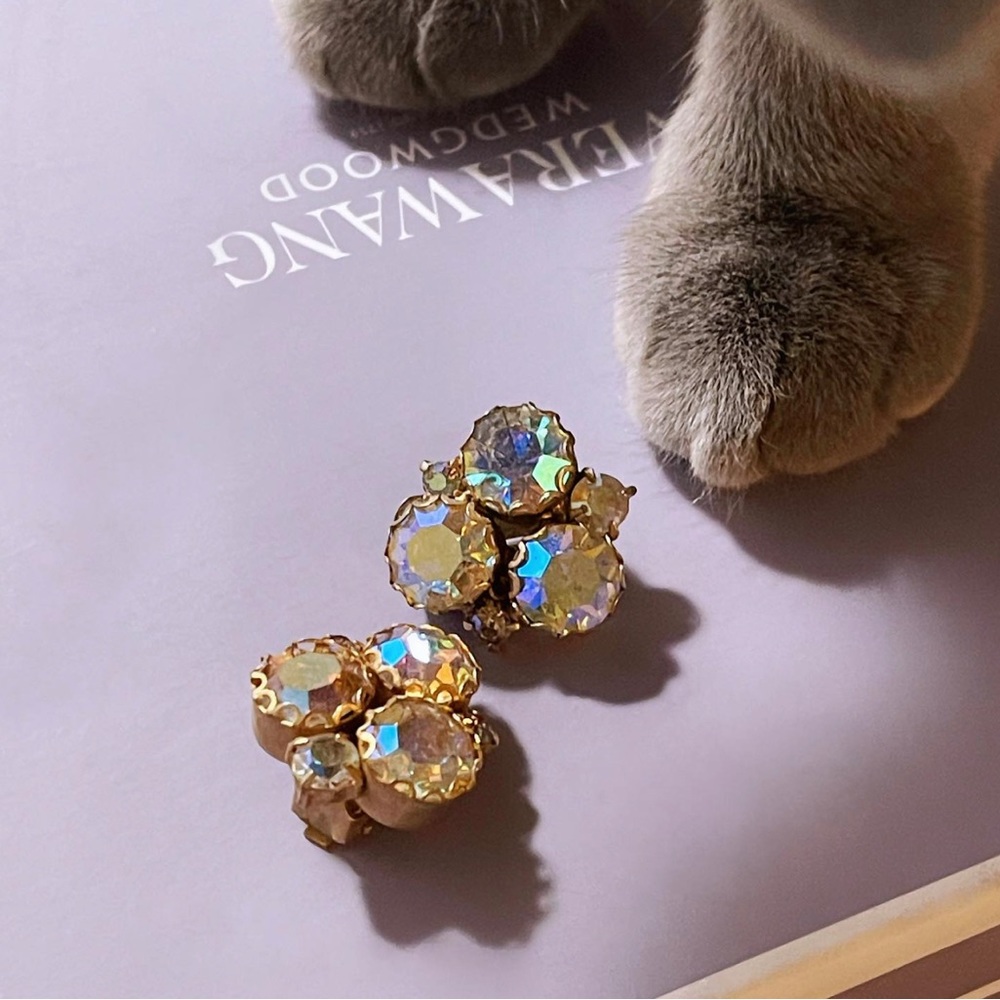 ✨Dazzling Vintage Rhinestones Clip On Earrings